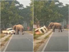 Video: गुस्सैल हाथी ने चंद सेकेंड में पलट दिया वाहन, रोंगटे खड़े कर देगा मंजर