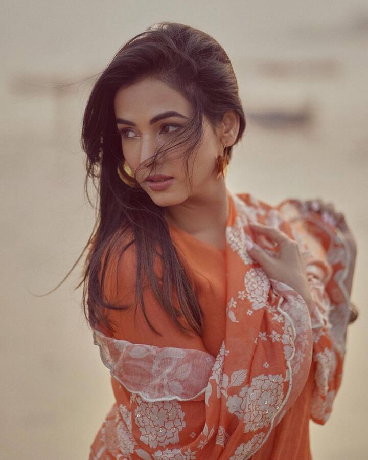 सोनल नेहमीच तिचे नव-नवीन फोटो सोशल मीडियावर शेअर करत असते.