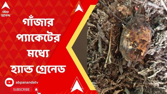 গাঁজার প্যাকেটের মধ্যে হ্যান্ড গ্রেনেড, নিষ্ক্রিয় করল সেনাবাহিনী