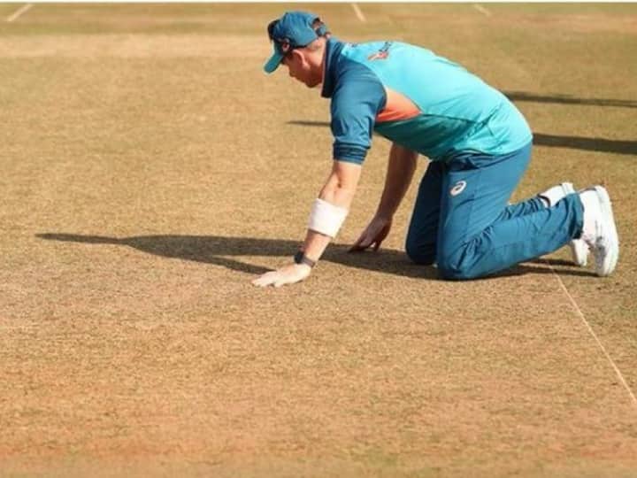 former south africa cricketer dale steyn massively trolled australia after nagpur defeat IND vs AUS: पिच को लेकर डेल स्टेन ने ऑस्ट्रेलियाई टीम का उड़ाया मजाक, पढ़ें ट्वीट कर क्या लिखा