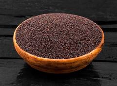 Vastu Tips: দুর্ভাগ্য কিছুতেই পিছু ছাড়ছে না? কালো সরষে দিয়ে করুন ছোট্ট টোটকা