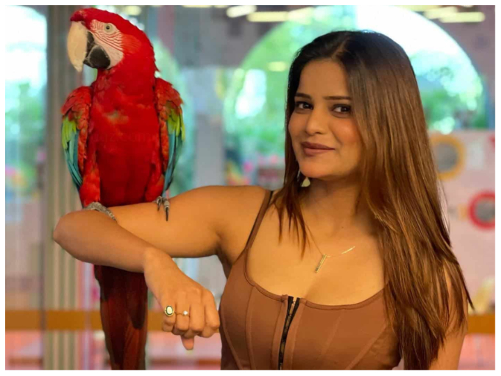 Archana Gautam: अभिनेता से नेता बनने वाली अर्चना गौतम, कभी बनी थीं 'मिस बिकिनी इंडिया'; क्या आज जीतेंगी खिताब? Bigg Boss 16 finalist Archana Gautam Bigg Boss 16 Winner Archana Gautam Archana Gautam: अभिनेता से नेता बनने वाली अर्चना गौतम, कभी बनी थीं 'मिस बिकिनी इंडिया'; क्या आज जीतेंगी खिताब?