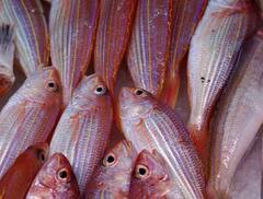 ਪ੍ਰੋਸਟੇਟ ਕੈਂਸਰ ਦੇ ਖਤਰੇ ਨੂੰ ਕਿਵੇਂ ਕਰ ਸਕਦੇ ਘੱਟ? ਆਪਣੀ ਡਾਈਟ 'ਚ ਸ਼ਾਮਲ ਕਰੋ ਇਹ ਹੈਲਥੀ ਫੂਡਸ