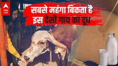 Gir Cow: अपने देश की ये देसी गायें देती हैं 60L तक दूध, जानिए इन गायों के बारे में कुछ unknown facts