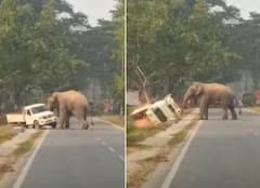 Viral Video: ਗੁੱਸੇ 'ਚ ਆਏ ਹਾਥੀ ਨੇ ਕੁਝ ਹੀ ਸਕਿੰਟਾਂ 'ਚ ਪਲਟ ਦਿੱਤਾ ਵਾਹਨ, ਰੌਂਗਟੇ ਖੜ੍ਹੇ ਕਰ ਦੇਵੇਗਾ ਇਹ ਨਜ਼ਾਰਾ