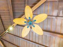 कई पंखे होते हैं काफी महंगे... जानिए आखिर इनमें हवा फेंकने के अलावा और क्या-क्या खास होता है?