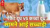 Amul Milk Price Rise: Packged Milk और कच्चे दूध में कौन बेहतर? देखिए गौशाला से EXCLUSIVE