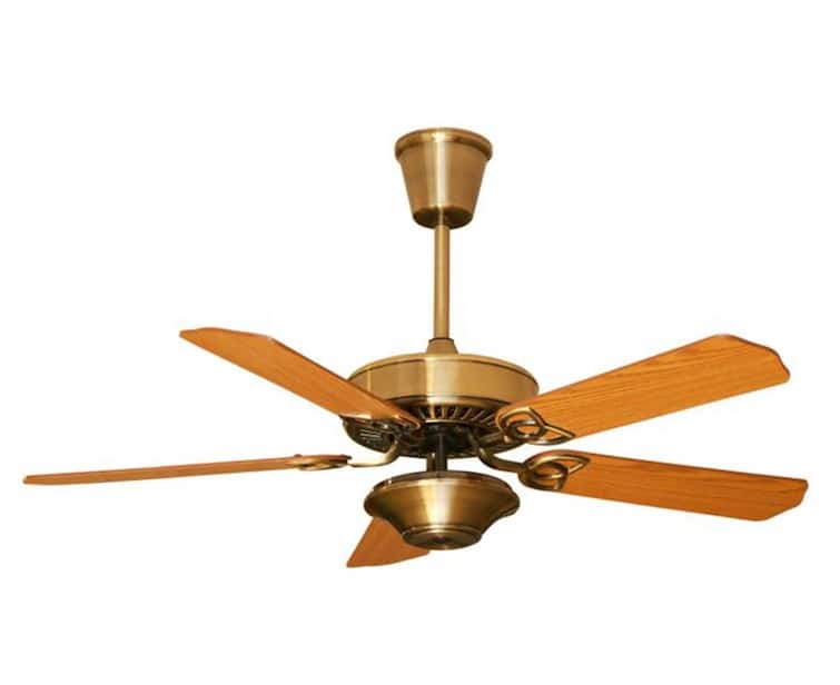 Fan : Most Expensive Fan in The World? When is fan called Luxury fan? Know its key Features પંખા કેમ હોય છે મોંઘા? હવા ફેંકવા શિયાય તેમાં એવુ તે શું હોય છે ખાસ?