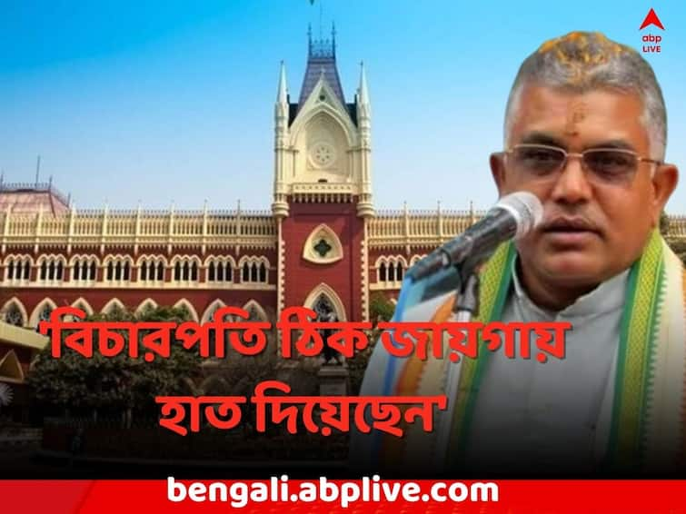 Kolkata News Dilip Ghosh attacks TMC on Recruitment Corruption Dilip Ghosh: 'বিচারপতি ঠিক জায়গায় হাত দিয়েছেন', চাকরি বাতিলের ইস্যুতে প্রতিক্রিয়া দিলীপের