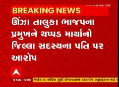 Mehsana : ભાજપ પ્રમુખને કોણ થપ્પડ માર્યાનો લાગ્યો આક્ષેપ? જુઓ અહેવાલ