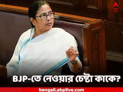 'বিজেপিতে নিয়ে যেতে চেয়েছিল আমার ভাই-ভাইয়ের বউকে', কাকে নিশানা মমতার?