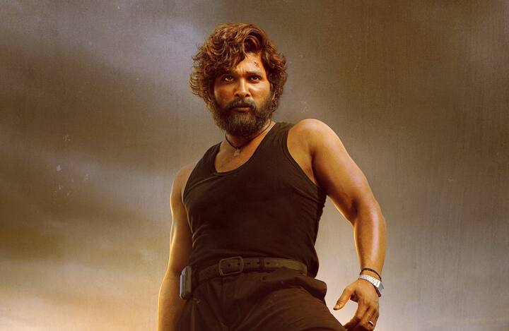 அல்லு அர்ஜூன் நடித்த புஷ்பா படம், நல்ல வசூலை ஈட்டியது என்பது குறிப்பிடதக்கது