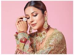 ये कैसी साड़ी पहनकर आ गईं शहनाज, डीपनेक ब्लाउज पर लगा Bow देखकर फैंस का चकराया दिमाग