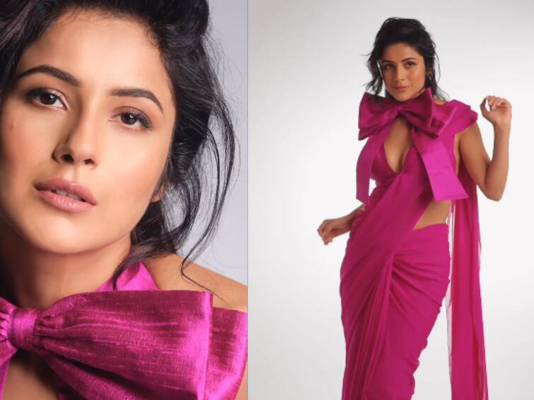 Shehnaaz Gill Looks Gorgeous As She 'Vibes' In Pink Saree. Watch Shehnaaz Gill Looks Gorgeous As She 'Vibes' In Pink Saree. Watch