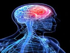 150 से अधिक तरह के होते हैं ब्रेन कैंसर, जानिए कौन सा जान पर पड़ सकता है भारी