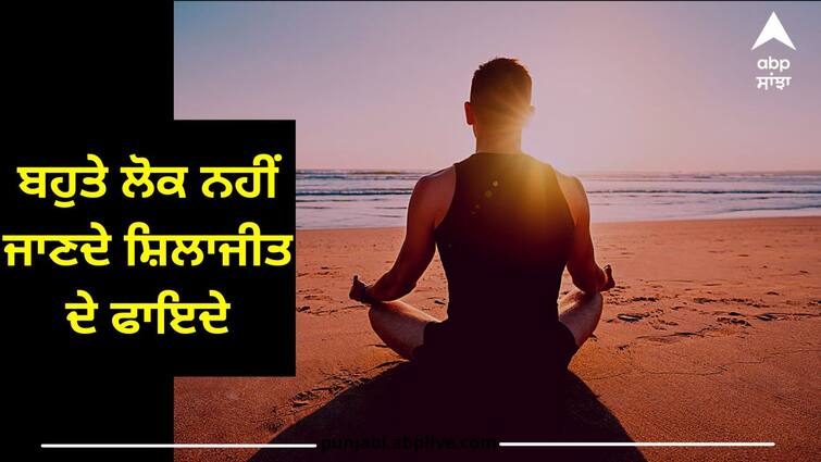 Most people do not know the benefits of Shilajit know details Benefits of Shilajit: ਬਹੁਤੇ ਲੋਕ ਨਹੀਂ ਜਾਣਦੇ ਸ਼ਿਲਾਜੀਤ ਦੇ ਫਾਇਦੇ, ਸਿਰਫ ਜਿਣਸੀ ਸ਼ਕਤੀ ਹੀ ਨਹੀਂ, ਸਗੋਂ ਰੋਗਾਂ ਨਾਲ ਲੜਨ ਦੀ ਵਧਦੀ ਸਮਰੱਥਾ