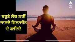 Benefits of Shilajit: ਬਹੁਤੇ ਲੋਕ ਨਹੀਂ ਜਾਣਦੇ ਸ਼ਿਲਾਜੀਤ ਦੇ ਫਾਇਦੇ, ਸਿਰਫ ਜਿਣਸੀ ਸ਼ਕਤੀ ਹੀ ਨਹੀਂ, ਸਗੋਂ ਰੋਗਾਂ ਨਾਲ ਲੜਨ ਦੀ ਵਧਦੀ ਸਮਰੱਥਾ
