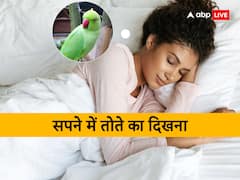 स्वप्न शास्त्र: सपने में तोते का दिखना शुभ-अशुभ? जानें इसके फल
