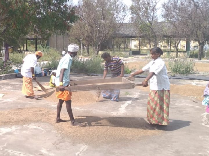 விளைபொருட்களை தரம் குறைந்தது என அடிமாட்டு விலைக்கு கேட்கும் வியாபாரிகள் - வேதனையில் விவசாயிகள்