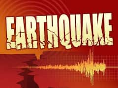भारत में जल्द आएगा Earthquake? तुर्किए भूकंप की भविष्यवाणी करने वाले Frank Hoogerbeets की चेतावनी