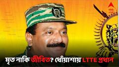 বেঁচে রয়েছে এলটিটিই প্রধান, প্রভাকরণকে নিয়ে চাঞ্চল্যকর দাবি টিএনএম নেতার