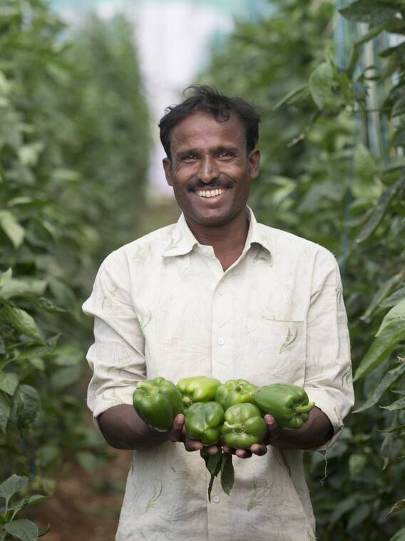 किसानों का भविष्य बना देंगी ये 10 एक्सपर्ट एडवाइज