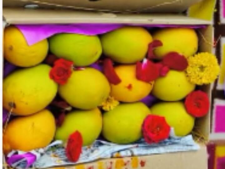 याचपद्धतीने सांगलीत हापूस आंब्याचे आगमन झाले आहे.