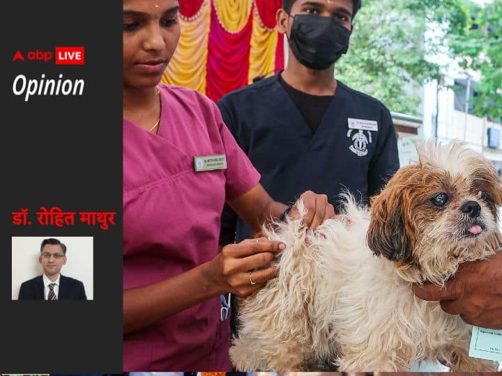 पागल कुत्ता काटे तो 24 घंटे में ये प्राथमिक उपचार जरूरी, इसके बाद डॉक्टर भी नहीं बचा पाएगा जान If a mad dog bite how can we cure rabies and with is first treatment within 24 hours पागल कुत्ता काटे तो 24 घंटे में ये प्राथमिक उपचार जरूरी, इसके बाद डॉक्टर भी नहीं बचा पाएगा जान