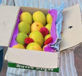कोकणचा राजा देवगड हापूस आंबा सांगलीत दाखल झाला आहे.