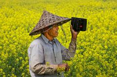World Radio Day: আজ বিশ্ব রেডিও দিবস, পুরীর সৈকতে বালিশিল্পে সম্মান দিনটিকে