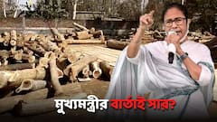 মমতার বার্তার পরও অবাধে চলছে কাঠ পাচার! তুঙ্গে রাজনৈতিক তরজা