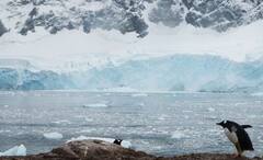 Antarctica Facts: ২ কিলোমিটার পুরু বরফের আস্তরণ, তার নিচে আস্ত পর্বতমালা! বিস্ময় জাগায় আন্টার্কটিকা!