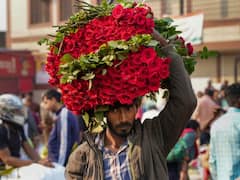 छत्तीसगढ़: वैलेंटाइन डे पर सजा Red Rose का बाजार, अंबिकापुर में हुआ 24 लाख के फूलों का व्यापार