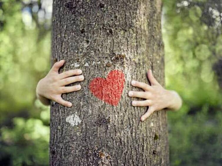 On Valentines Day this Delhi University college is prodding everyone to hug nature for better life Valentines Day: 'பசு இல்லாட்டி என்ன..? மரத்தை கட்டிப்பிடிங்க..' லவ்வர்ஸ் டேக்கு அட்வைஸ் செய்த கல்லூரி..!