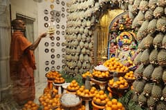 Salangpur Hanuman: સાળંગપુરમાં કષ્ટભંજન દેવને અનાનસ અને સંતરાનો કરાયો અદભૂત શણગાર, જુઓ તસવીરો