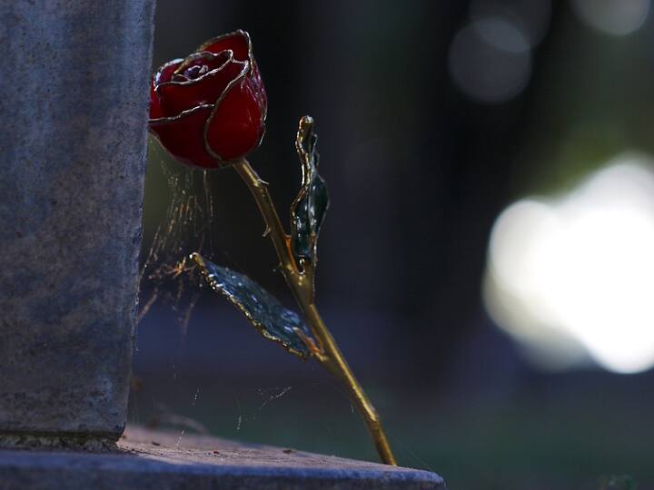 ‘वो तो मर गया…, मेरे साथ वैलेंटाइन डे मनाओ’, GF के यह कहने पर लड़के ने किया ब्रेकअप