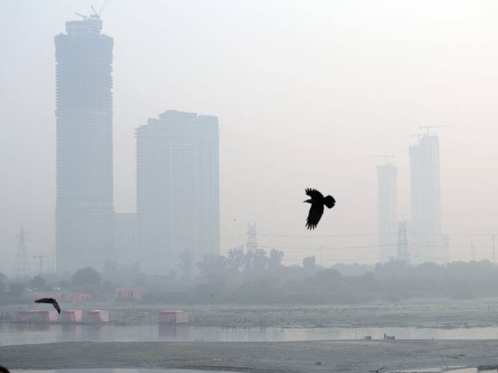 Mumbai Pollution: दिल्ली से भी ज्यादा जहरीली हुई मुंबई की हवा, दुनिया के सबसे प्रदूषित शहरों की लिस्ट में दूसरे स्थान पर Mumbai pollution Air Quality second most polluted in weekly world ranking know about delhi aqi report Mumbai Pollution: दिल्ली से भी ज्यादा जहरीली हुई मुंबई की हवा, दुनिया के सबसे प्रदूषित शहरों की लिस्ट में दूसरे स्थान पर