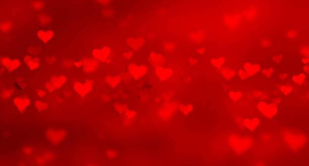 13 व्या शतकातील एका प्रसिद्ध फ्रेंच कवितेमध्ये याचा उल्लेख आहे. या कवितेमध्ये कवी एका बागेत लाल रंगाचं फूल शोधतं आहे, असं वर्णन आहे. (PC : istockphoto)