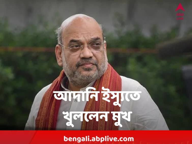 'Nothing To Hide': Amit Shah On Issue In Interview With ANI Amit Shah On Adani : 'কিছু লুকনোর নেই', আদানি ইস্যুতে মুখ খুললেন অমিত শাহ, আর কী বললেন ?