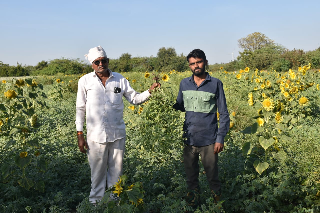 Farmer’s Success Story:  એન્જિનિયરિંગનો અભ્યાસ કર્યા બાદ નોકરીના બદલે દેવભૂમિ દ્વારકાનો આ યુવક પ્રાકૃતિક ખેતીથી કમાય છે લાખોમાં, અમદાવાદ સહિતના શહેરોમાં વસ્તુઓનું કરે છે વેચાણ