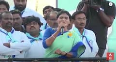 YS Sharmila On KCR : రాజశేఖర్ రెడ్డివి బొంకుడు మాటలన్న కేసీఆర్ పై షర్మిల ఫైర్ | DNN | ABP Desam