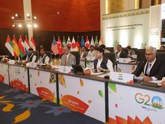 G-20 कृषि कार्य समूह की बैठक में ज्योतिरादित्य सिंधिया, किसानों को दी 3 रणनीतियों पर काम करने की सलाह