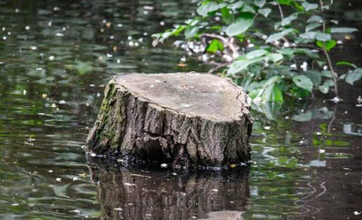 কিন্তু কয়লার মধ্যে থাকা খনিজ উপাদানগুলি নানা সমস্যাও তৈরি করে। সমুদ্র সংলগ্ন জলাভূমির গাছ থেকে কয়লার উৎপত্তি হলে, তাতে সালফারের মাত্রা থাকে অত্যন্ত বেশি। খনি থেকে তোলার সময় অথবা ত জ্বালানোর সময় ধোঁয়া থেকে নানা রোগ হতে পারে। হৃদরোগেরও কারণ এই ধোঁয়া।