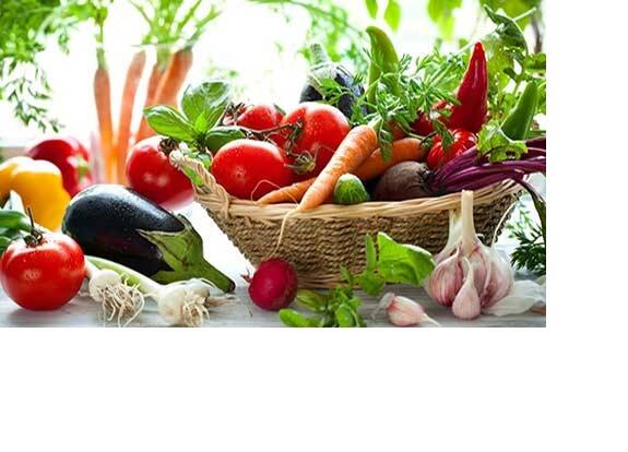 Agri Innovation: chhattisgarh farmer Took Bumper Vegetable Production with new Techniques Agri Innovation : આ ટેક્નિક અપનાવી ખેડૂતે ઉગાડી શાકભાજી, કમાય છે લાખો રૂપિયા