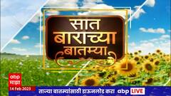 Saat Barachya Batmya : 7/12 : सात बाराच्या बातम्या : दोन एकर पपईतून लाखोंचा नफा ABP Majha