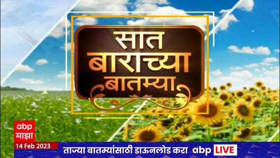 Saat Barachya Batmya : 7/12 : सात बाराच्या बातम्या : दोन एकर पपईतून लाखोंचा नफा ABP Majha