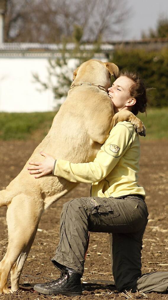 পোষ্যের প্রশিক্ষণ!