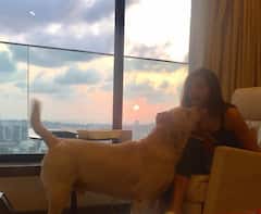 Anushka Sharma House: 34 कोटींच्या 'या' आलिशान फ्लॅटमध्ये पती आणि मुलीसोबत राहते अनुष्का शर्मा, पाहा घराचे आतील फोटो