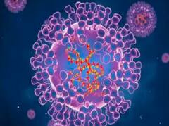Marburg Viral Infection : மார்பர்க் வைரஸ் தொற்று: தெரிந்து கொள்ள வேண்டிய முக்கிய விஷயங்கள்