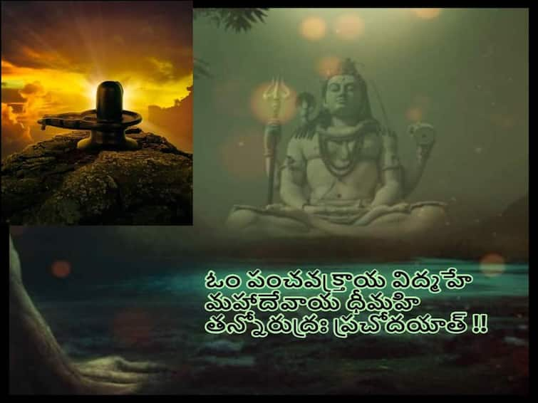 Maha Shivaratri 2023: Origin, Significance and Celebration of Maha Shivaratri and what is The Mystical Shiva Tattva Maha Shivaratri 2023: తత్పురుషం,అఘోరం, సద్యోజాతం, వామదేవం మీరు పూజించే రూపం ఏది - శివతత్వం ఏం చెబుతోంది!